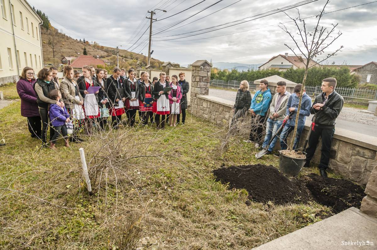•  Fotó: Veres Nándor