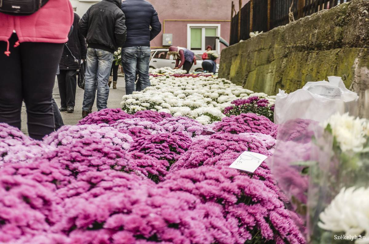 •  Fotó: Gecse Noémi