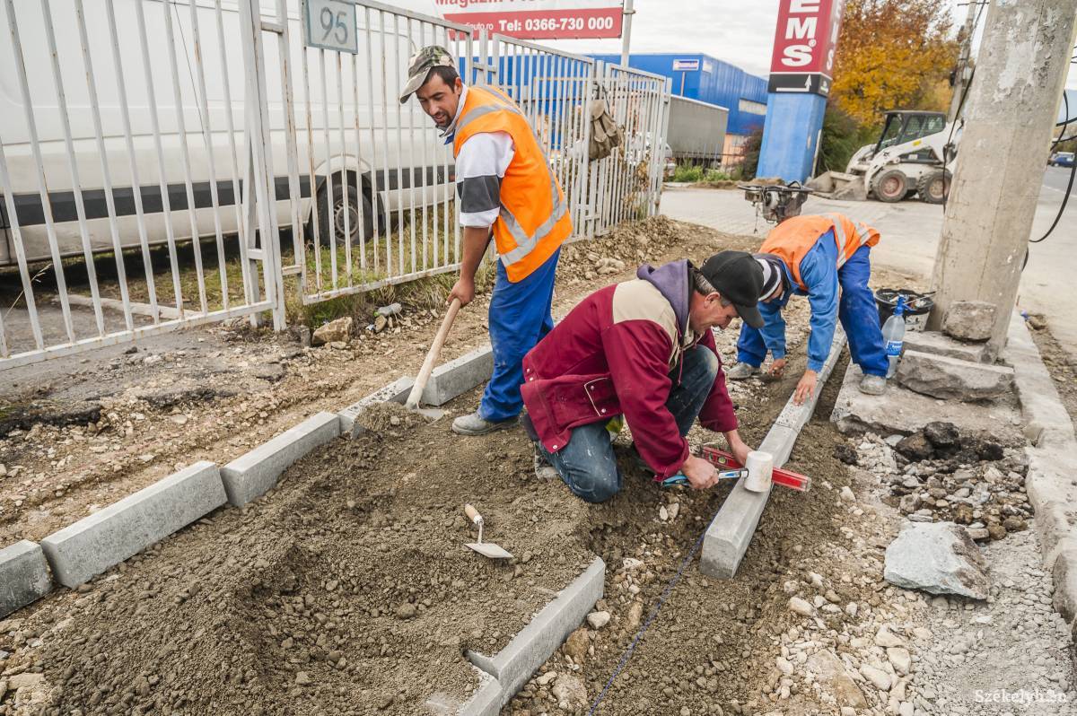 •  Fotó: Veres Nándor