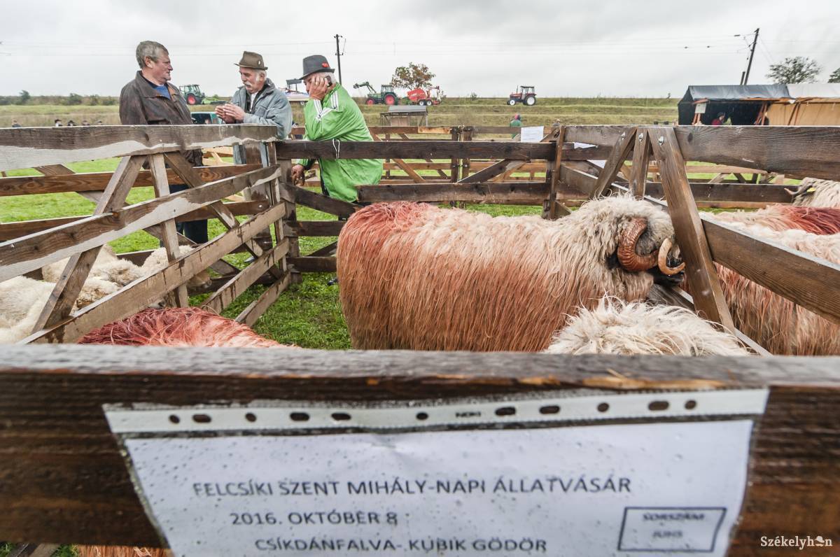 &bullet;  Fotó: Veres Nándor
