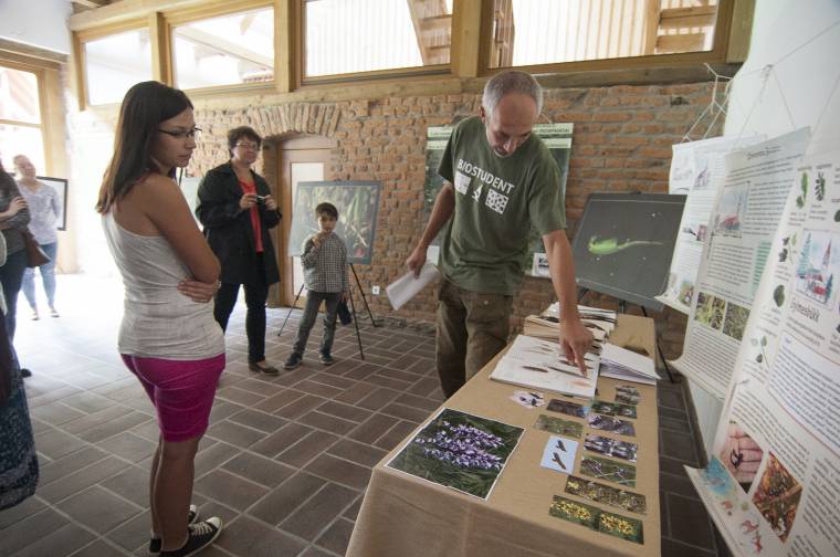 Látogatóközpont a pottyandi erdei iskolában