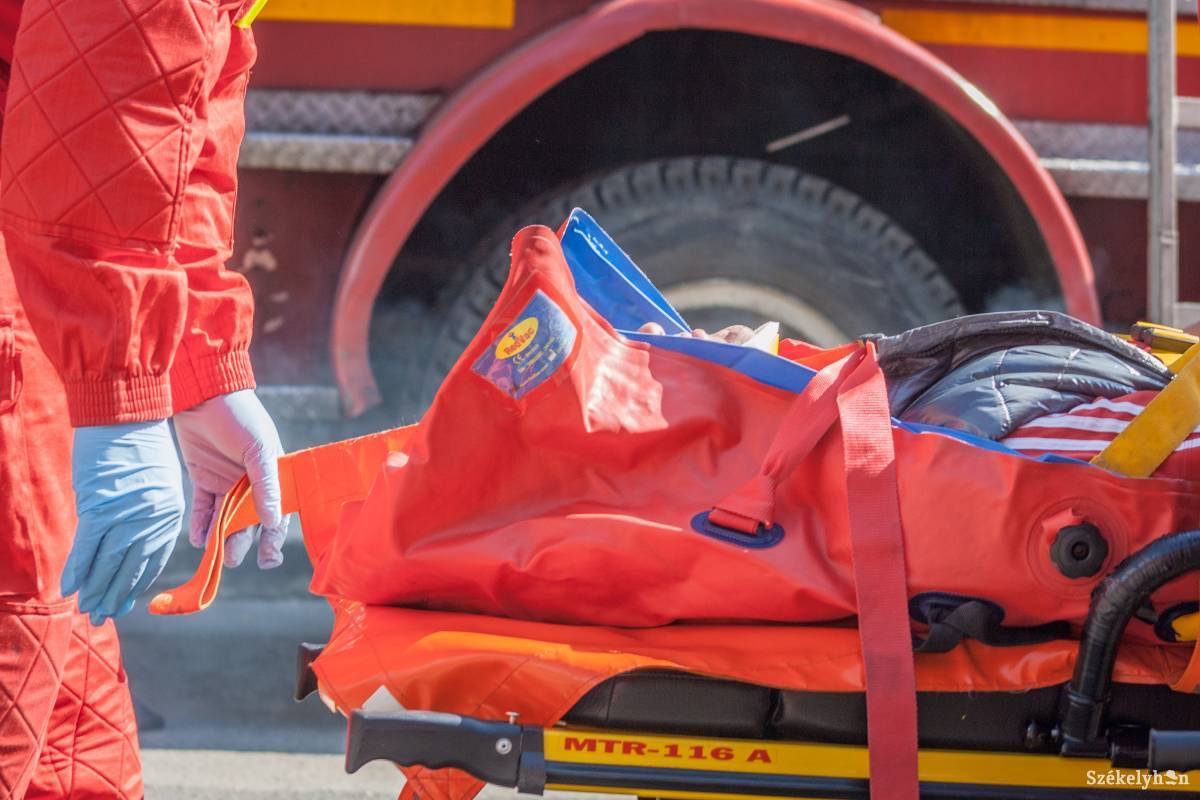 Illusztráció •  Fotó: Pinti Attila