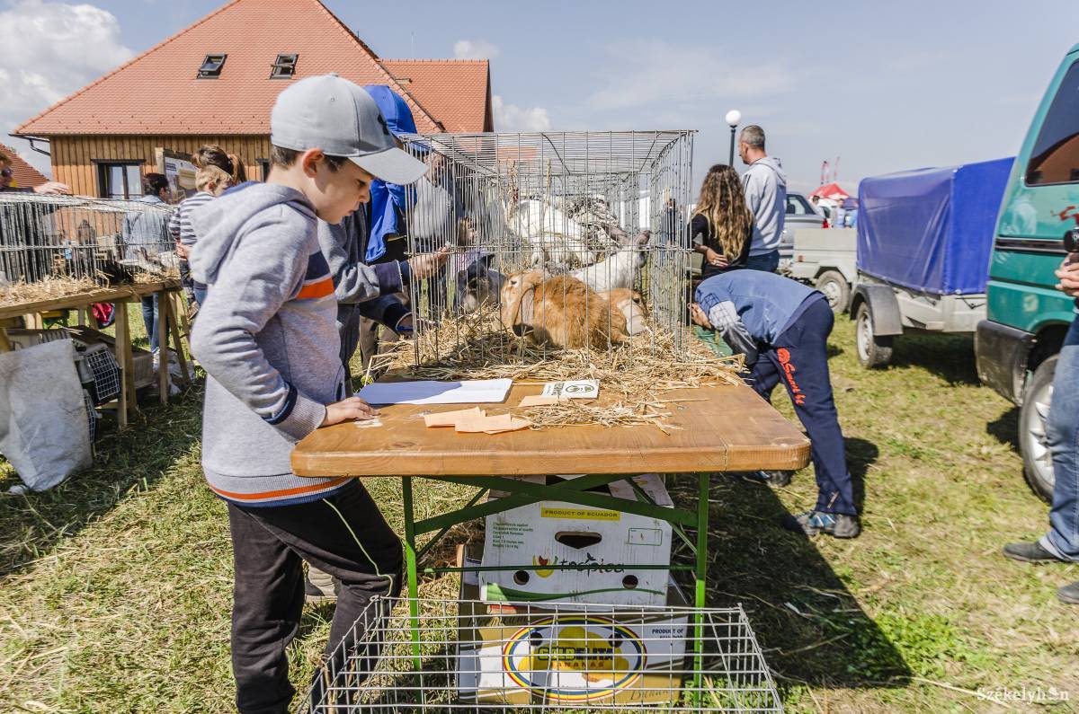 A csíkszentsimoni Szent László Gyermekvédelmi Központ udvarára várják az érdeklődőket •  Fotó: Gecse Noémi