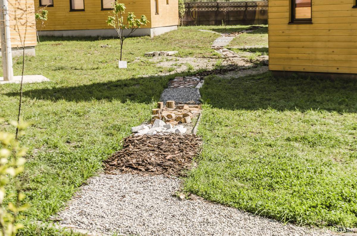 • Fotó: Gecse Noémi