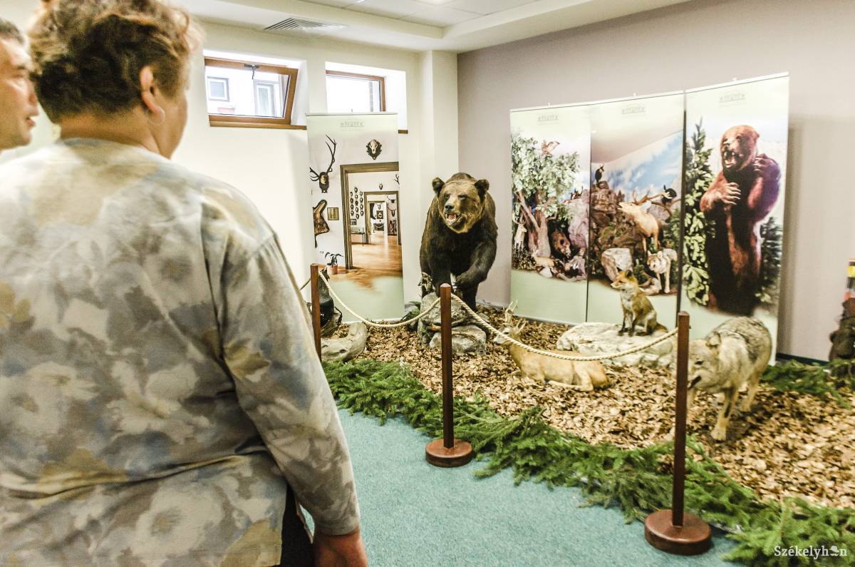 •  Fotó: Gecse Noémi