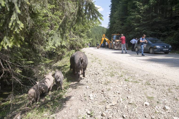 Elkezdték a büdösfürdői út aszfaltozását