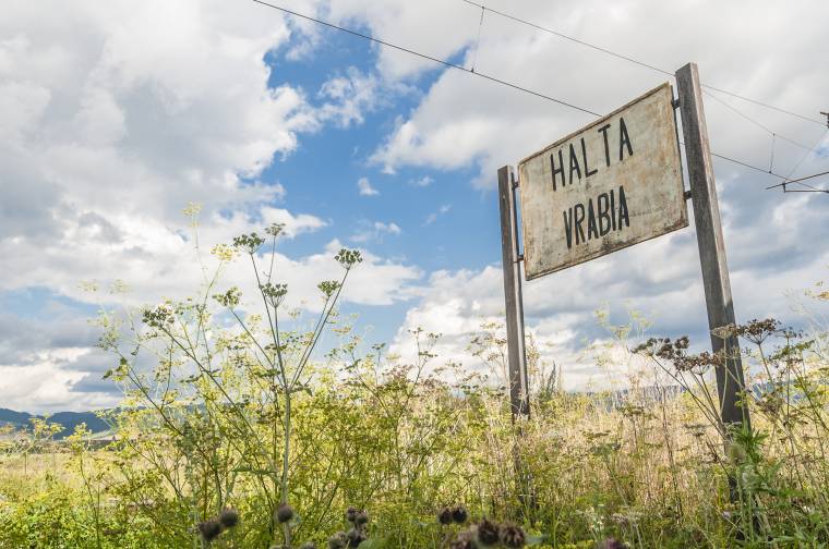 Korodi: balesetet okozhat az utak és vasutak mellett felnőtt növényzet