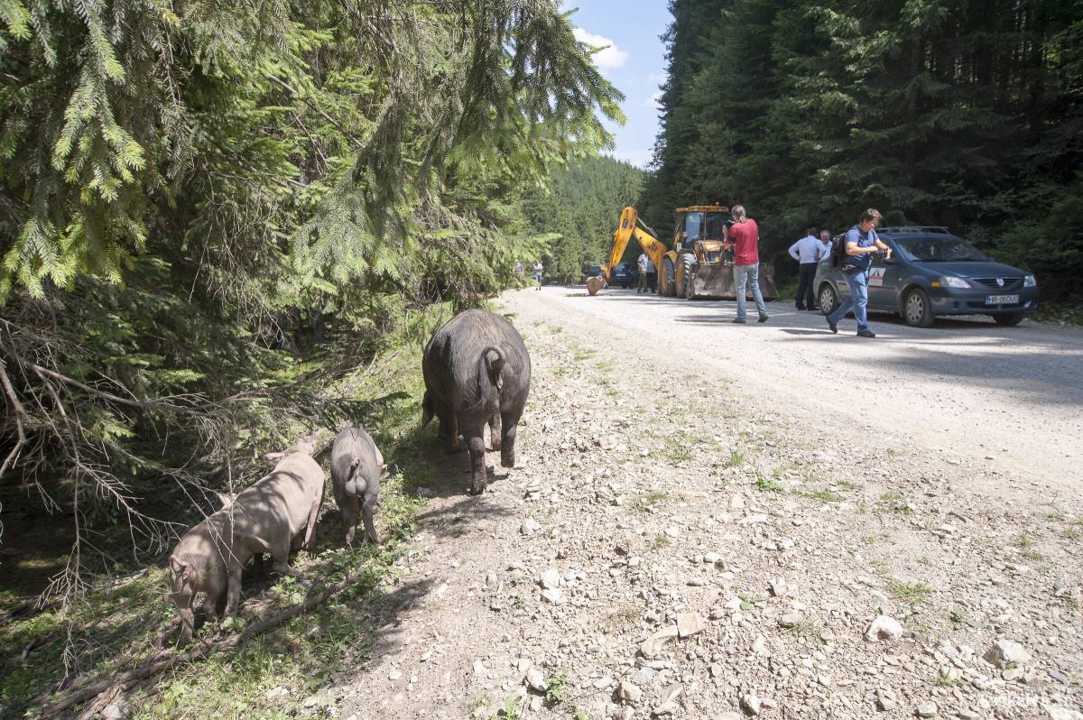 &bullet;  Fotó: Veres Nándor