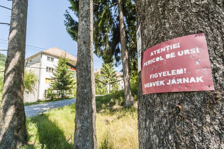 Medvefesztivállal adnak lendületet a turizmusnak