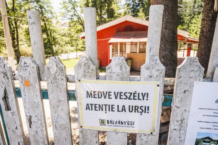 Nem félnek a medvéktől a Tusványos szervezői