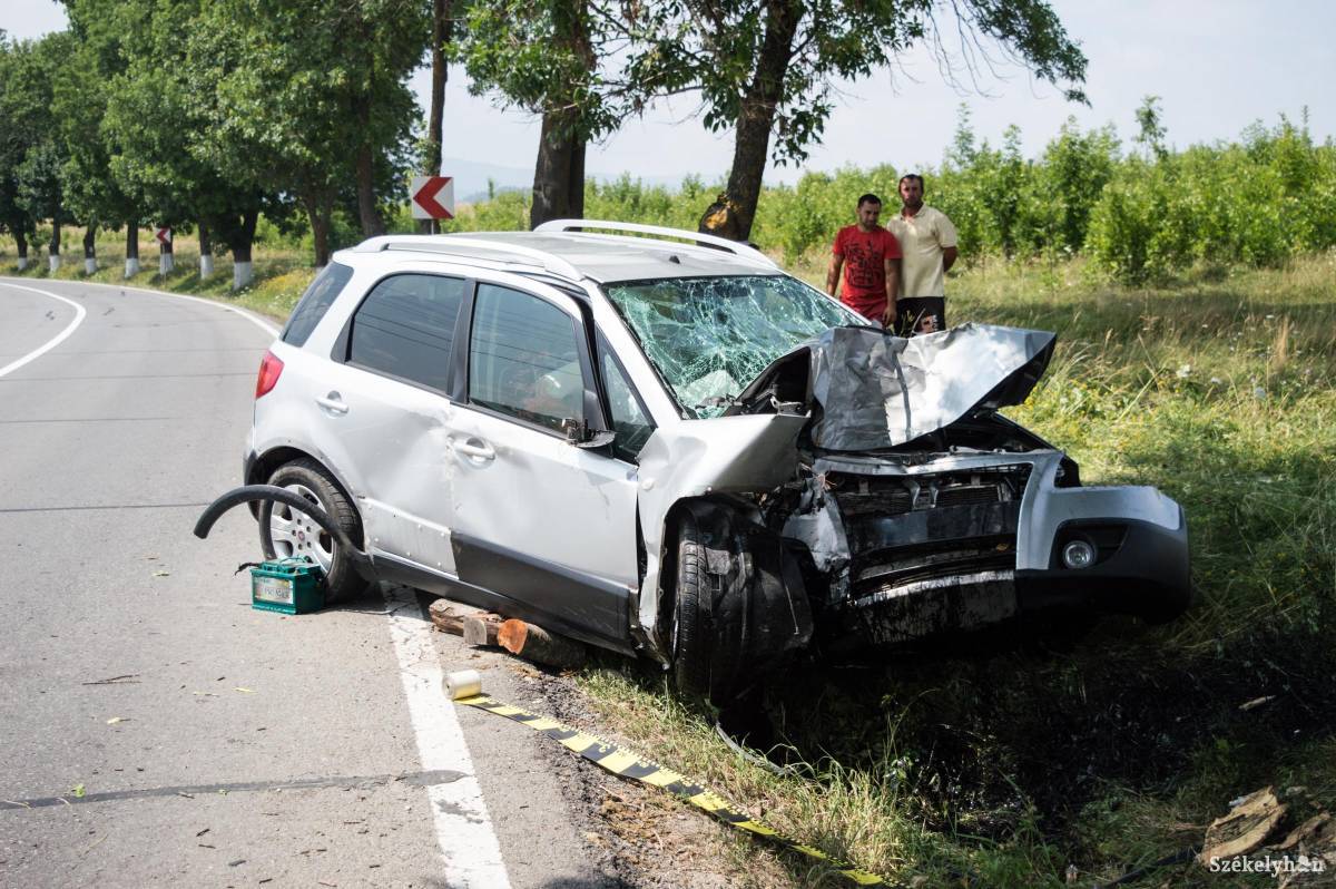 &bullet;  Fotó: Sándor Csilla