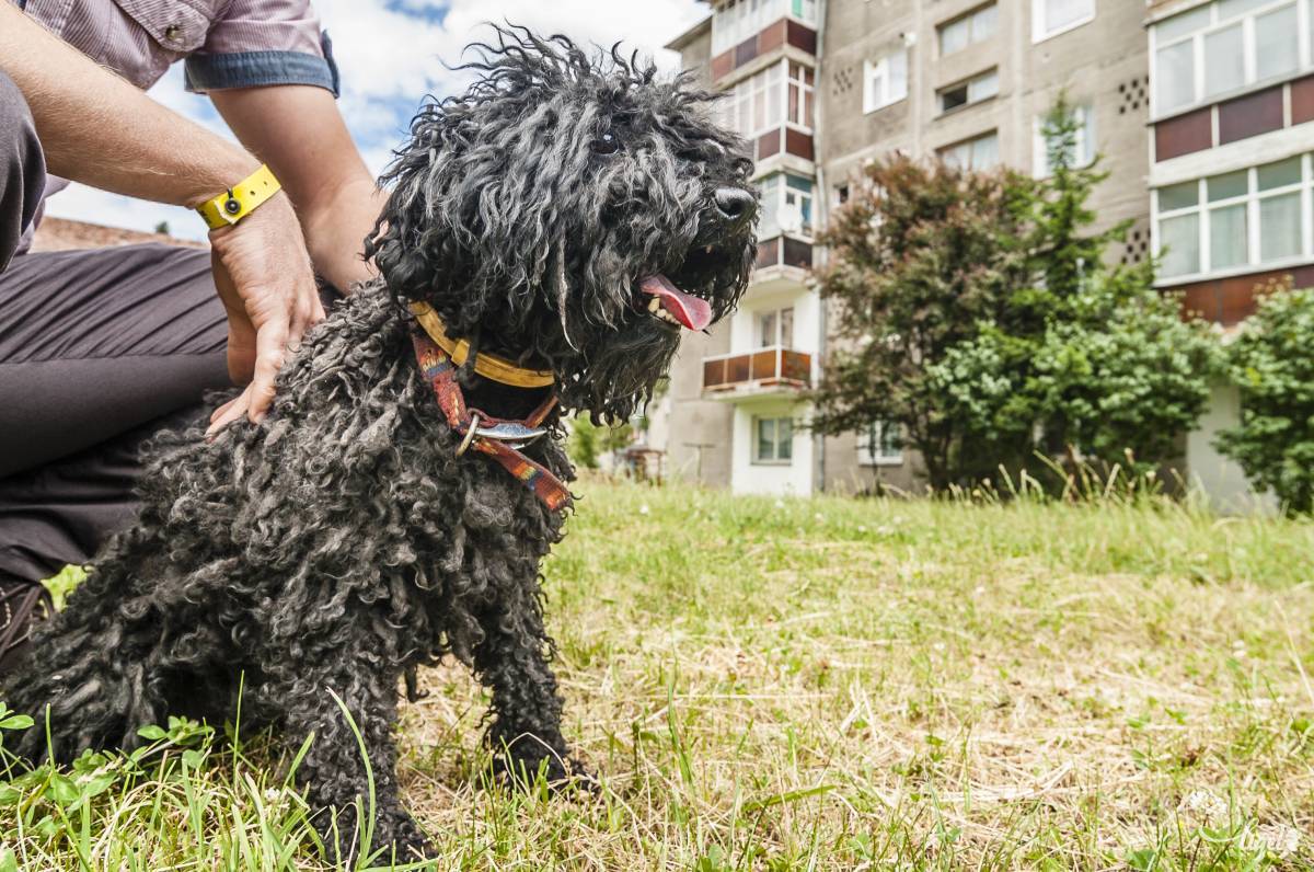Az oltás nem csak kötelező, de hasznos is. Illusztráció •  Fotó: Veres Nándor