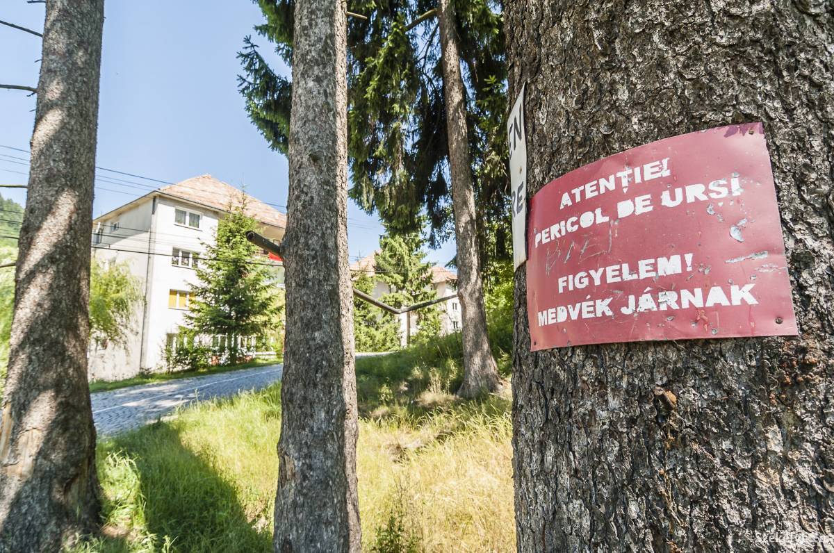 • Fotó: Veres Nándor