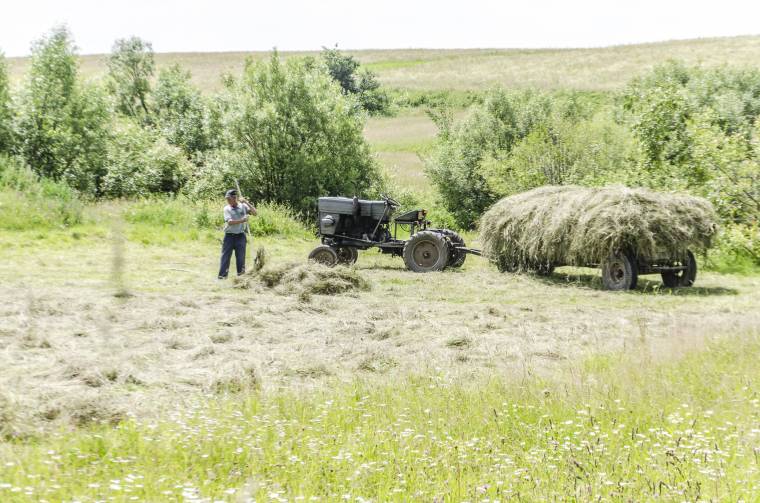 Meghosszabbították a kifizetések határidejét, később érkeznek a mezőgazdasági támogatások