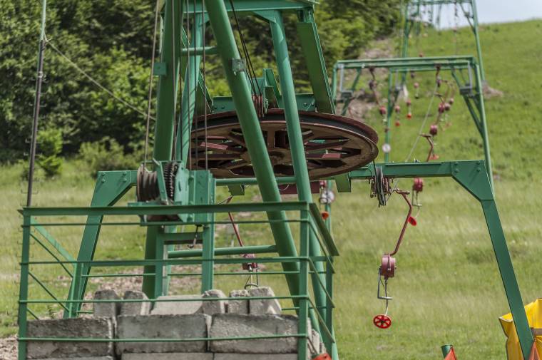 Medve a csíksomlyói sípálya közelében