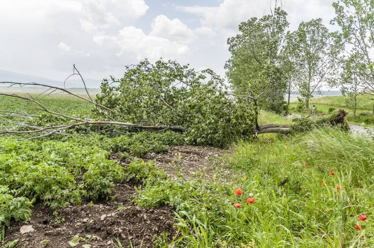 Ismét károkat okozott az eső Csíkszéken