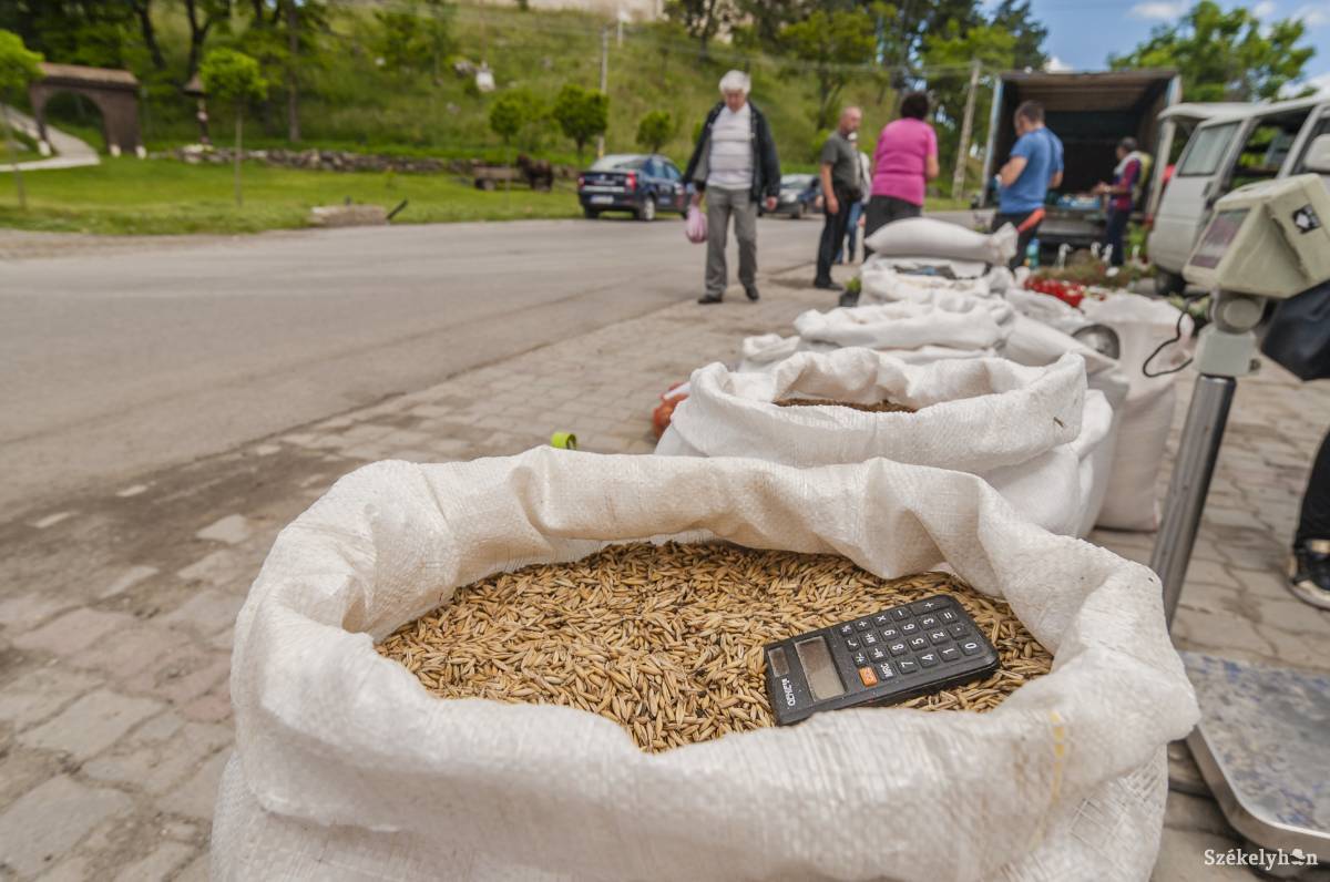 &bullet;  Fotó: Veres Nándor