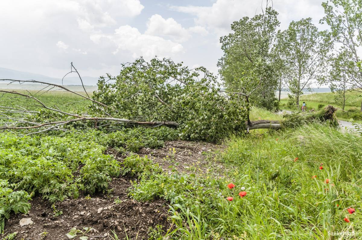 &bullet;  Fotó: Veres Nándor