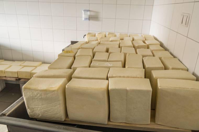 Keresik az év sajtkészítőjét