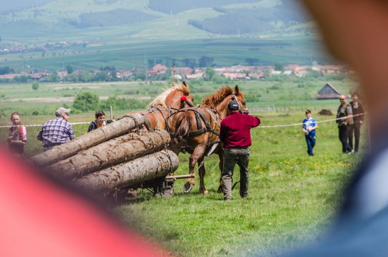 Vasárnap megmérettetnek a lovak