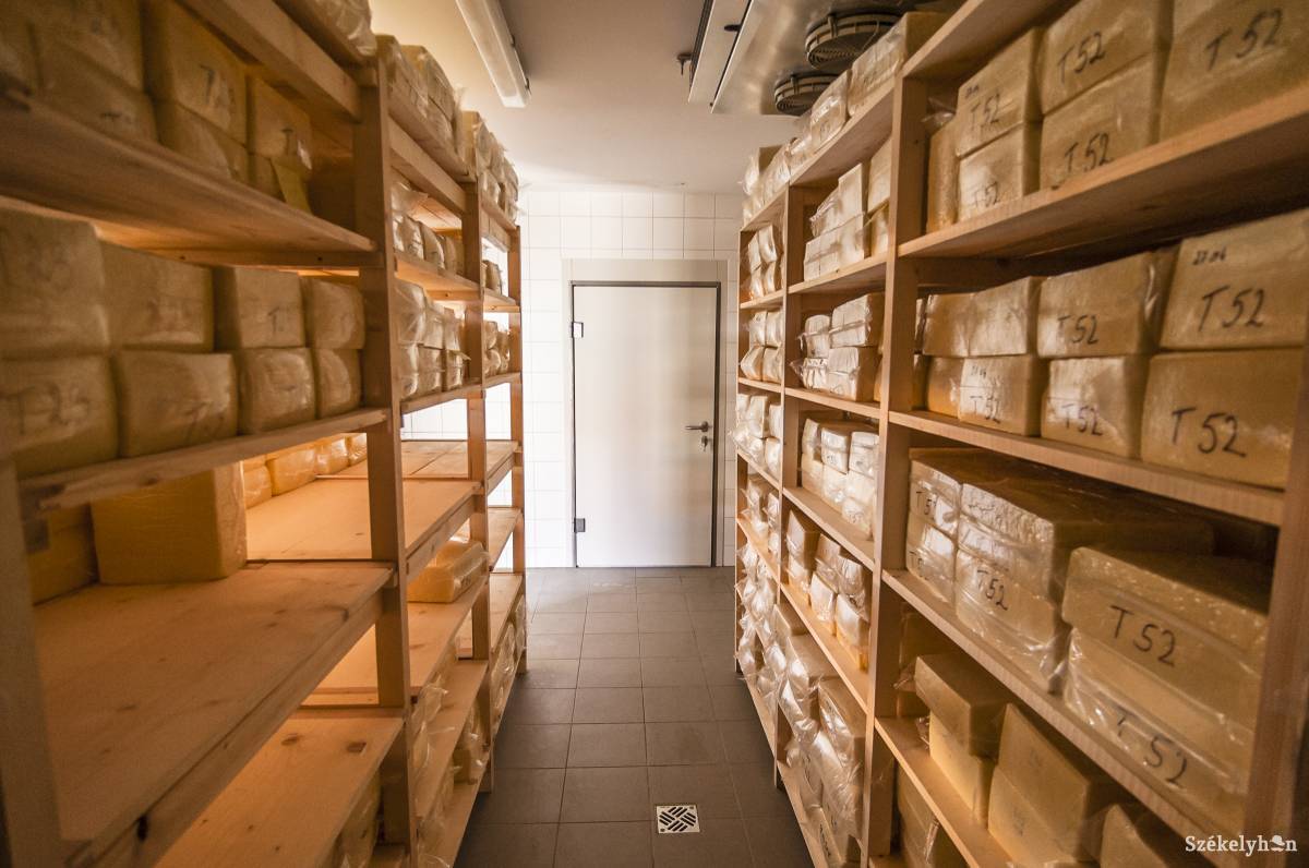 •  Fotó: Veres Nándor