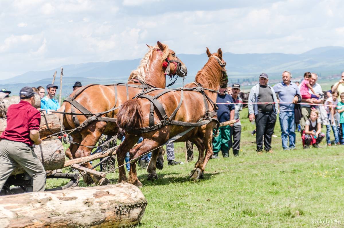 • Fotó: Gecse Noémi