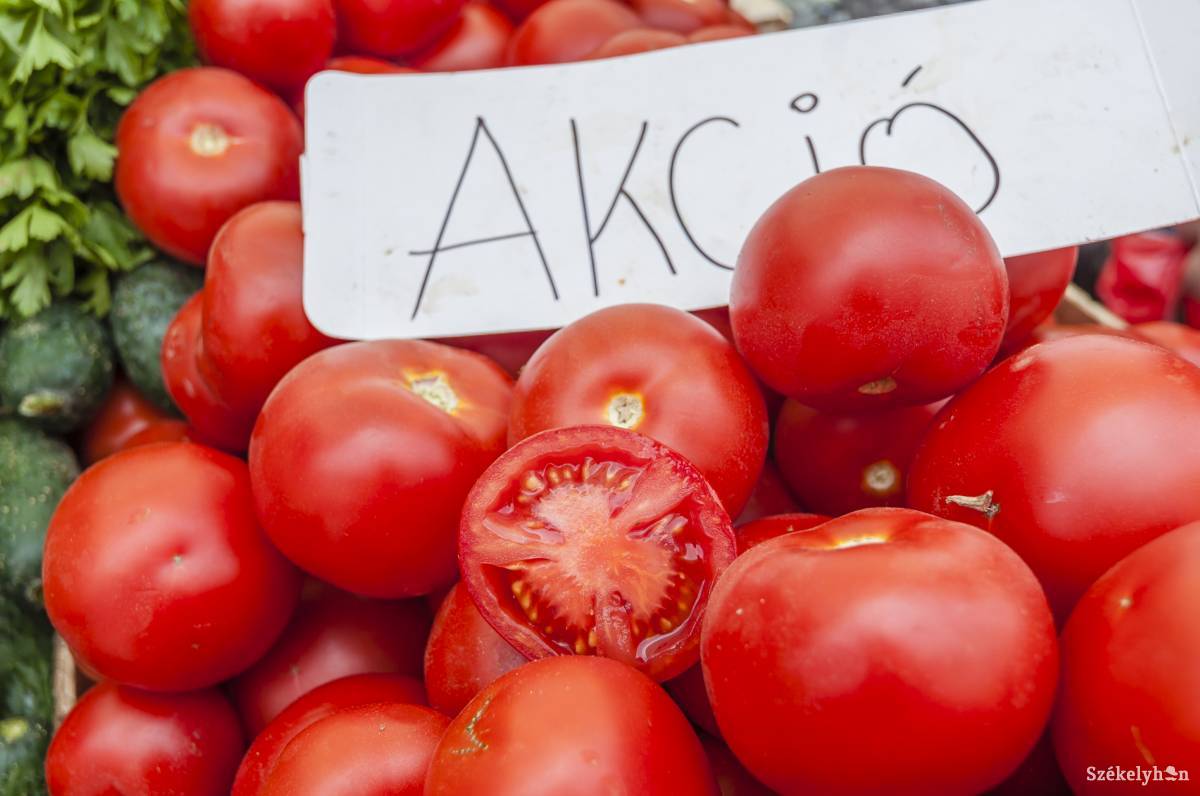 Illusztráció •  Fotó: Veres Nándor