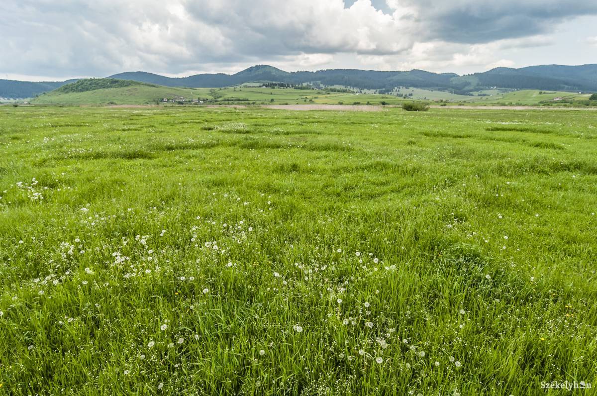 • Fotó: Veres Nándor