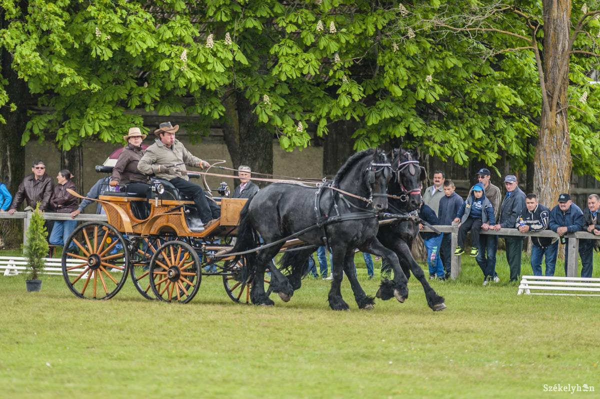 • Fotó: Veres Nándor