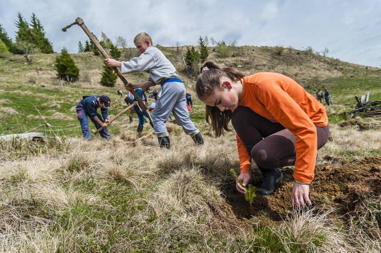 „Kérjünk bocsánatot az erdőtől” – csemeteületés lesz Csíksomlyón