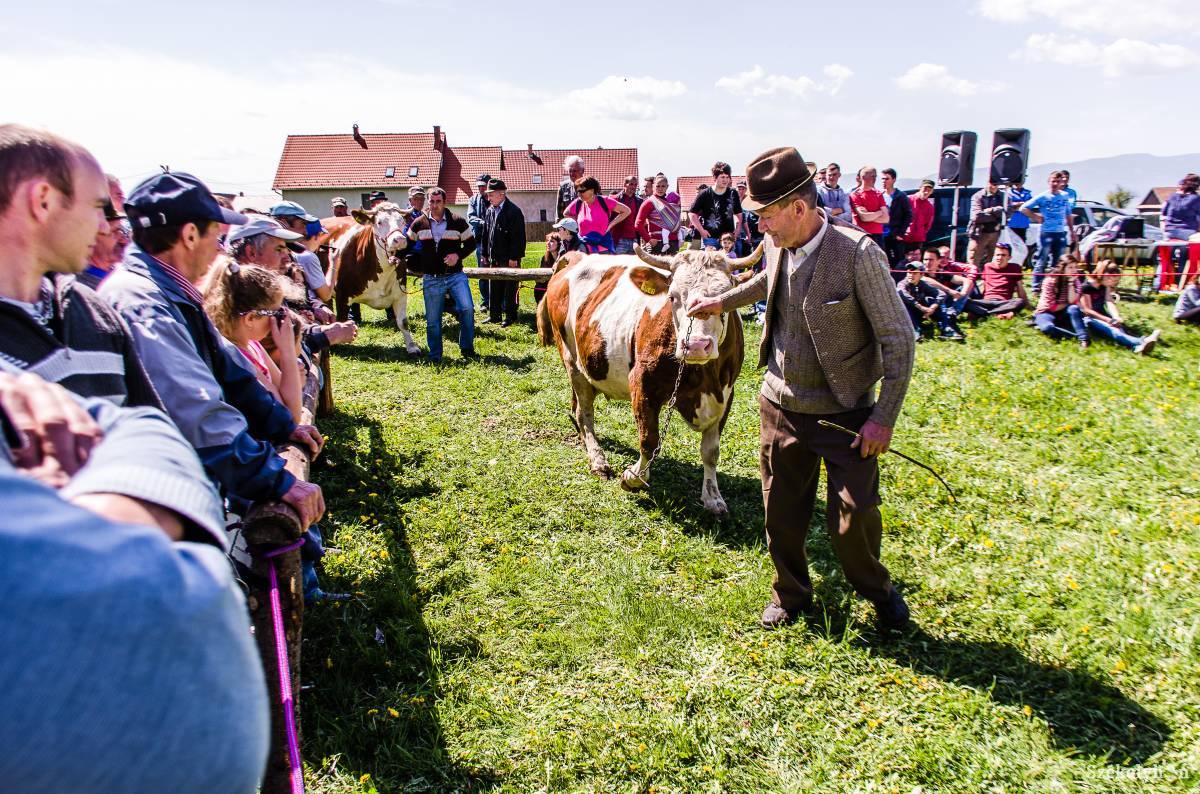 Archív • Fotó: Gecse Noémi