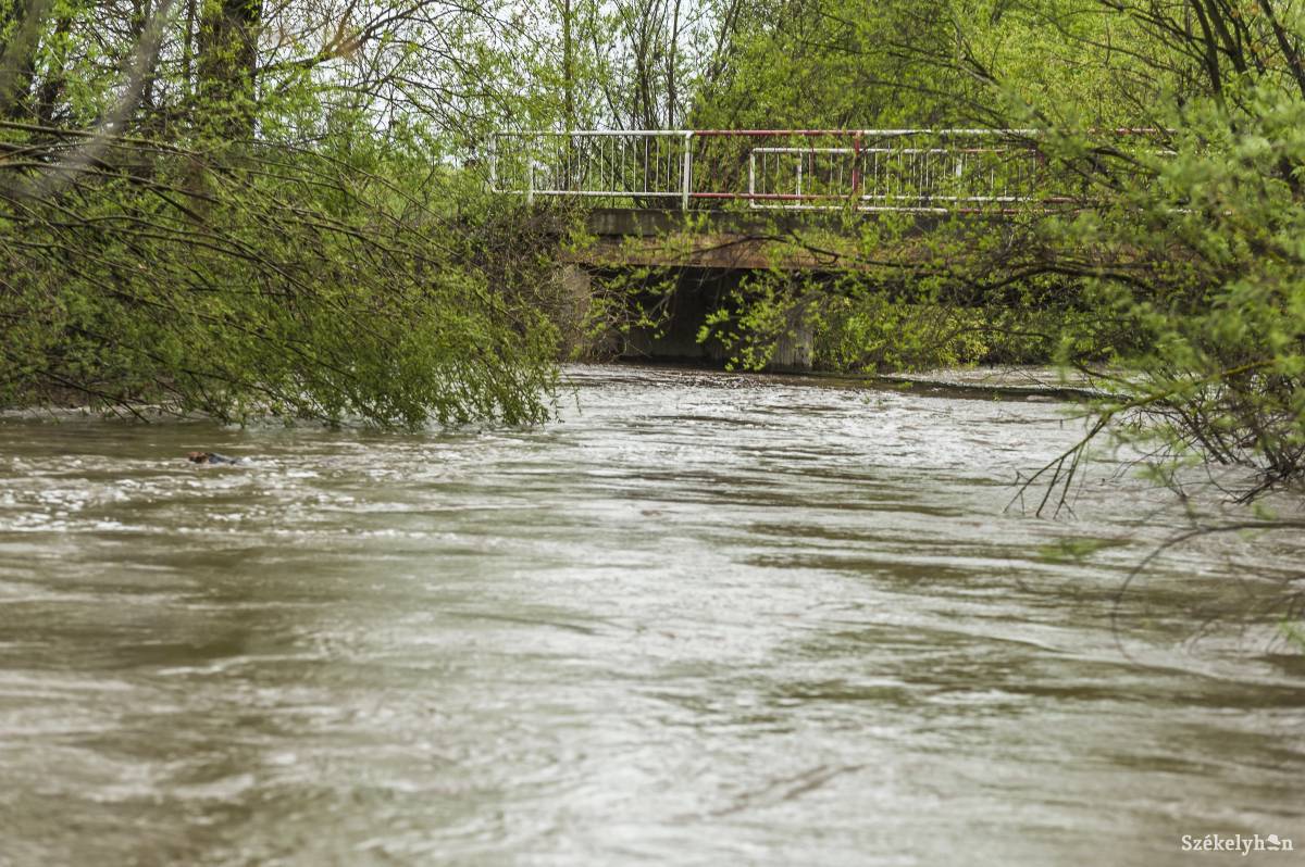 •  Fotó: Veres Nándor