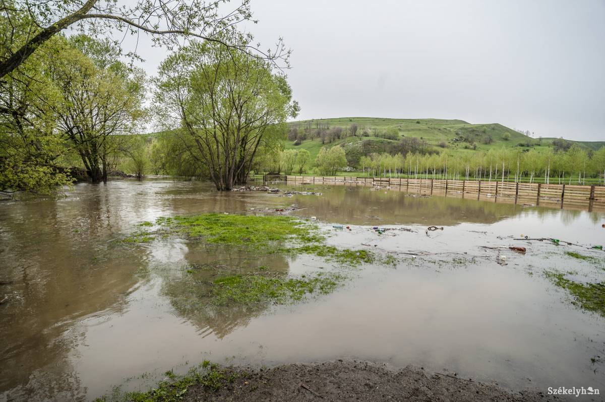 •  Fotó: Veres Nándor