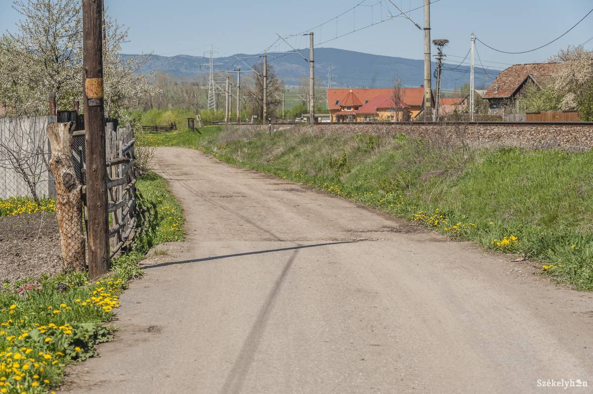 • Fotó: Veres Nándor