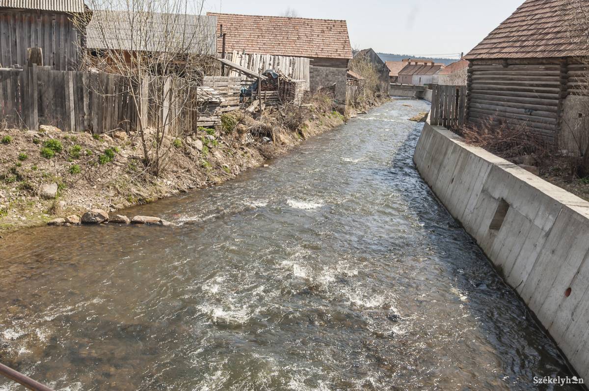•  Fotó: Veres Nándor