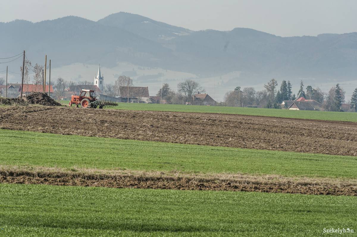 Képünk illusztráció •  Fotó: Veres Nándor