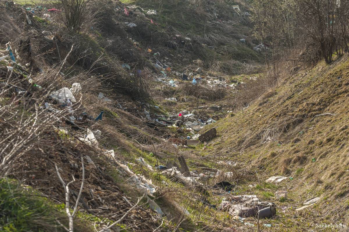 •  Fotó: Veres Nándor