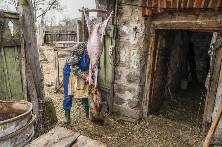Helyben vágott helyi állat – azt mondják, lenne rá igény
