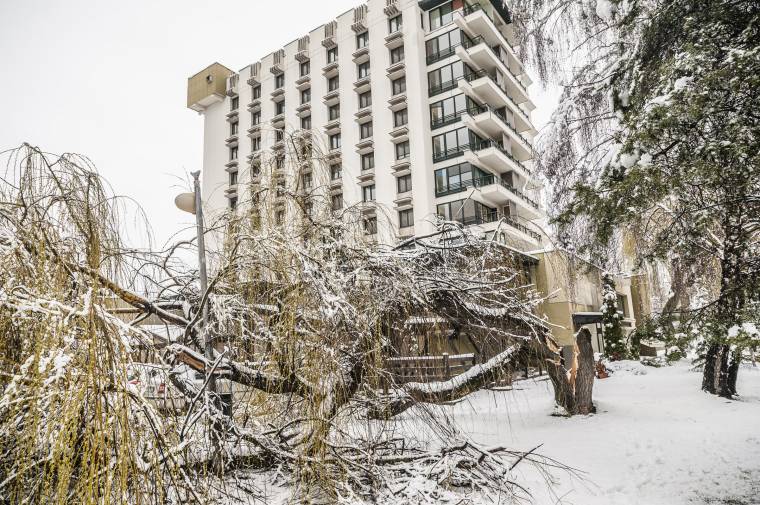 Kettéroppantak a fák a hó súlya alatt