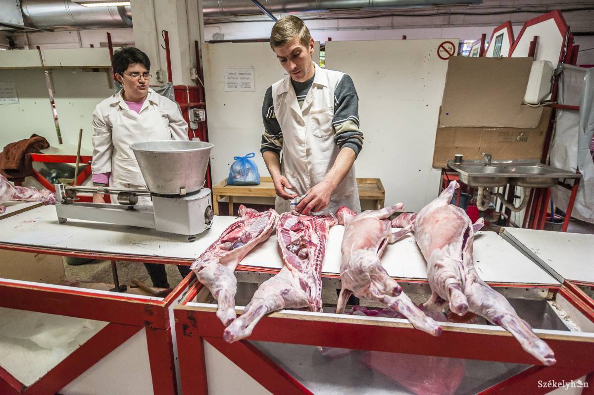 • Fotó: Veres Nándor