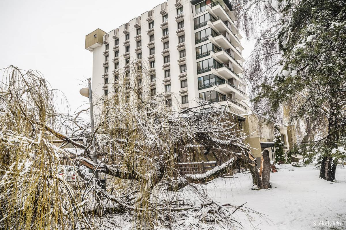 &bullet;  Fotó: Veres Nándor