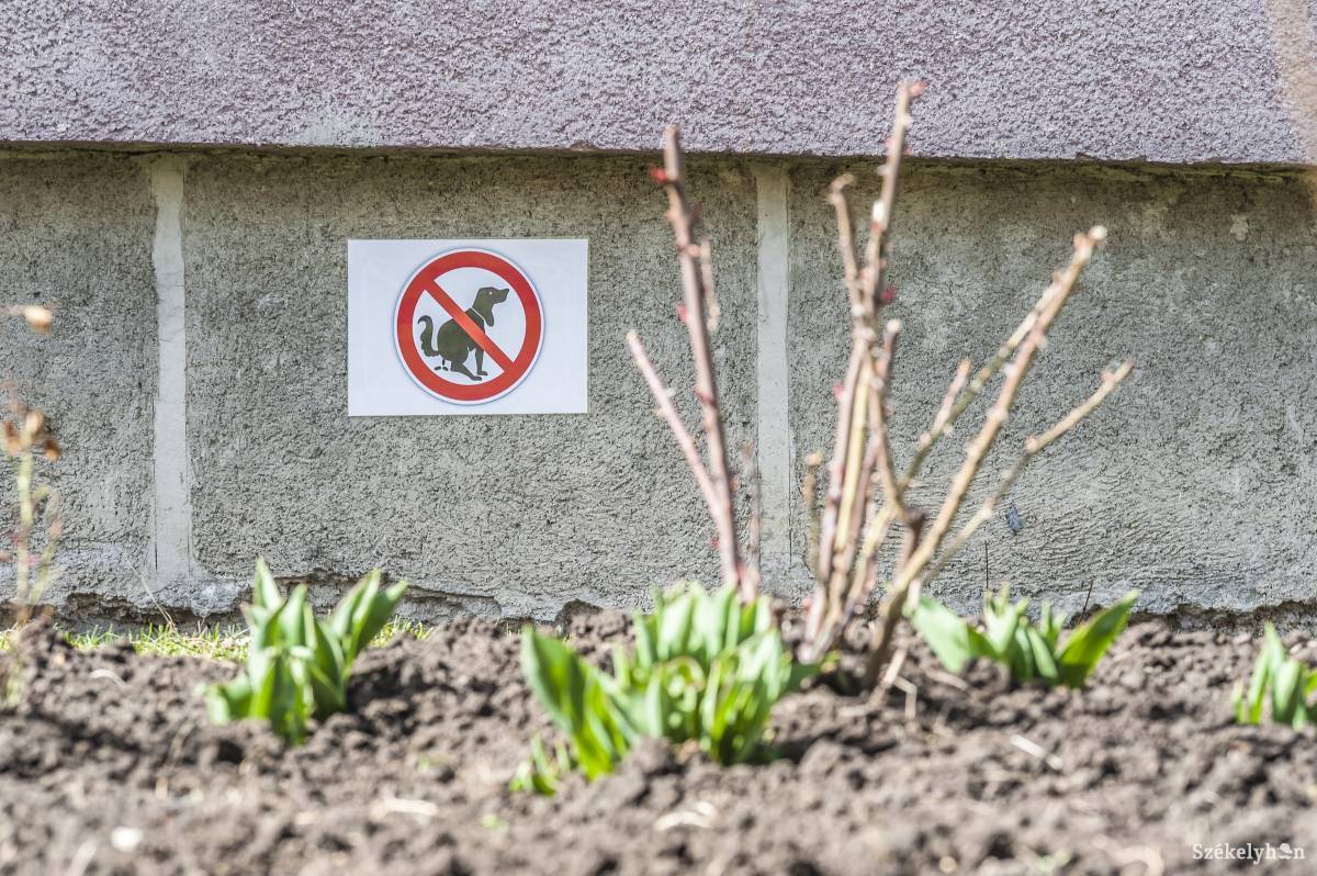 &bullet;  Fotó: Veres Nándor