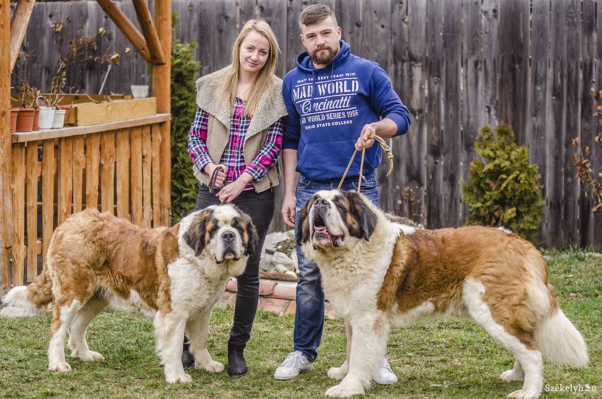 &bullet;  Fotó: Veres Nándor