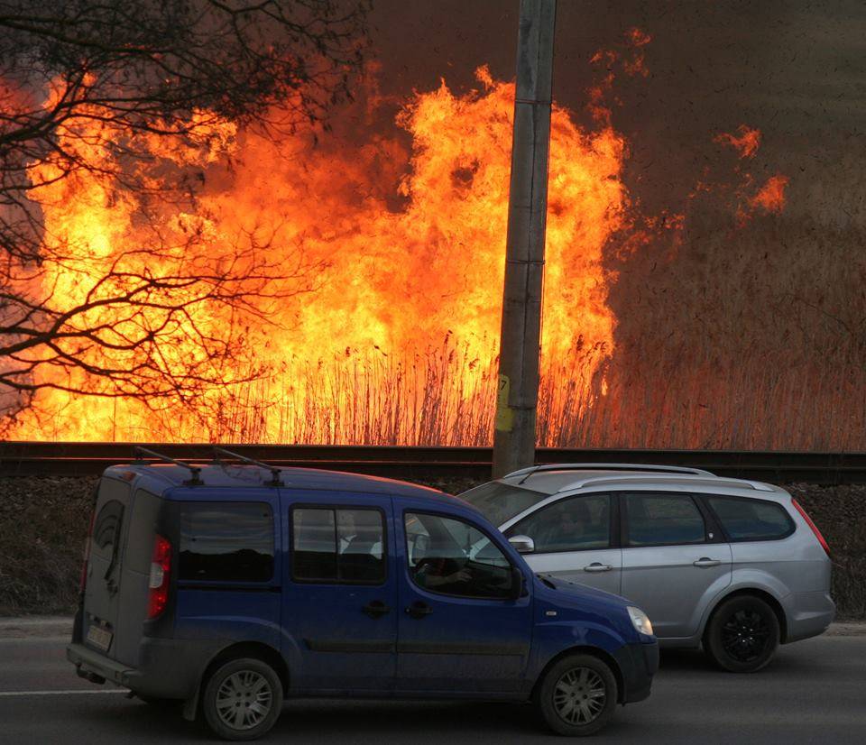 &bullet;  Fotó: Székedi Ferenc