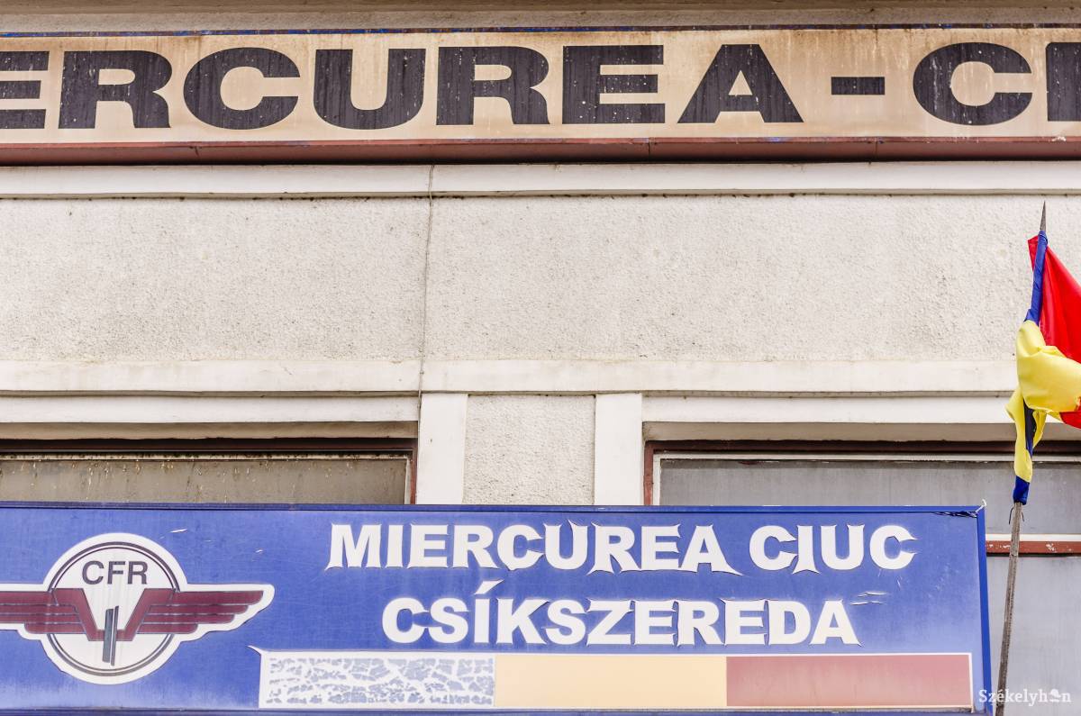 •  Fotó: Veres Nándor
