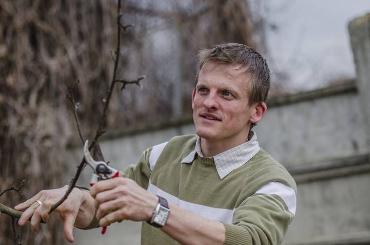 Metszésről, permetezésről, tévhitekről – szakértői szemmel