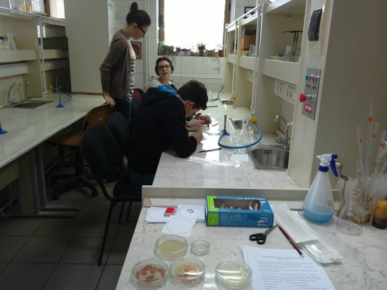 Mire jók a mikrobák?