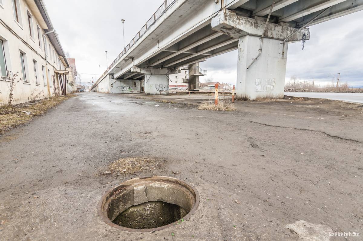 • Fotó: Veres Nándor