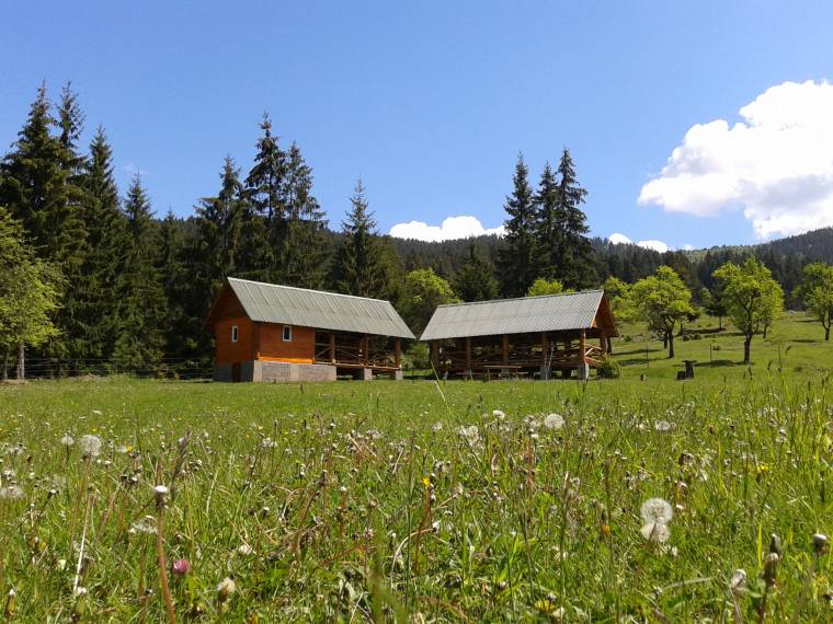 A megmaradás útján a csíkszentgyörgyi Körösmény Közbirtokosság