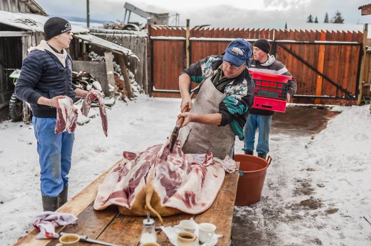 Disznóvágás nemzedékeken át